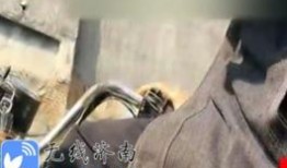 济南渣男爆料视频大全集,视频大全集揭露不道德行为