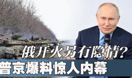 俄罗斯惊人爆料视频,揭秘真相背后的惊人内幕